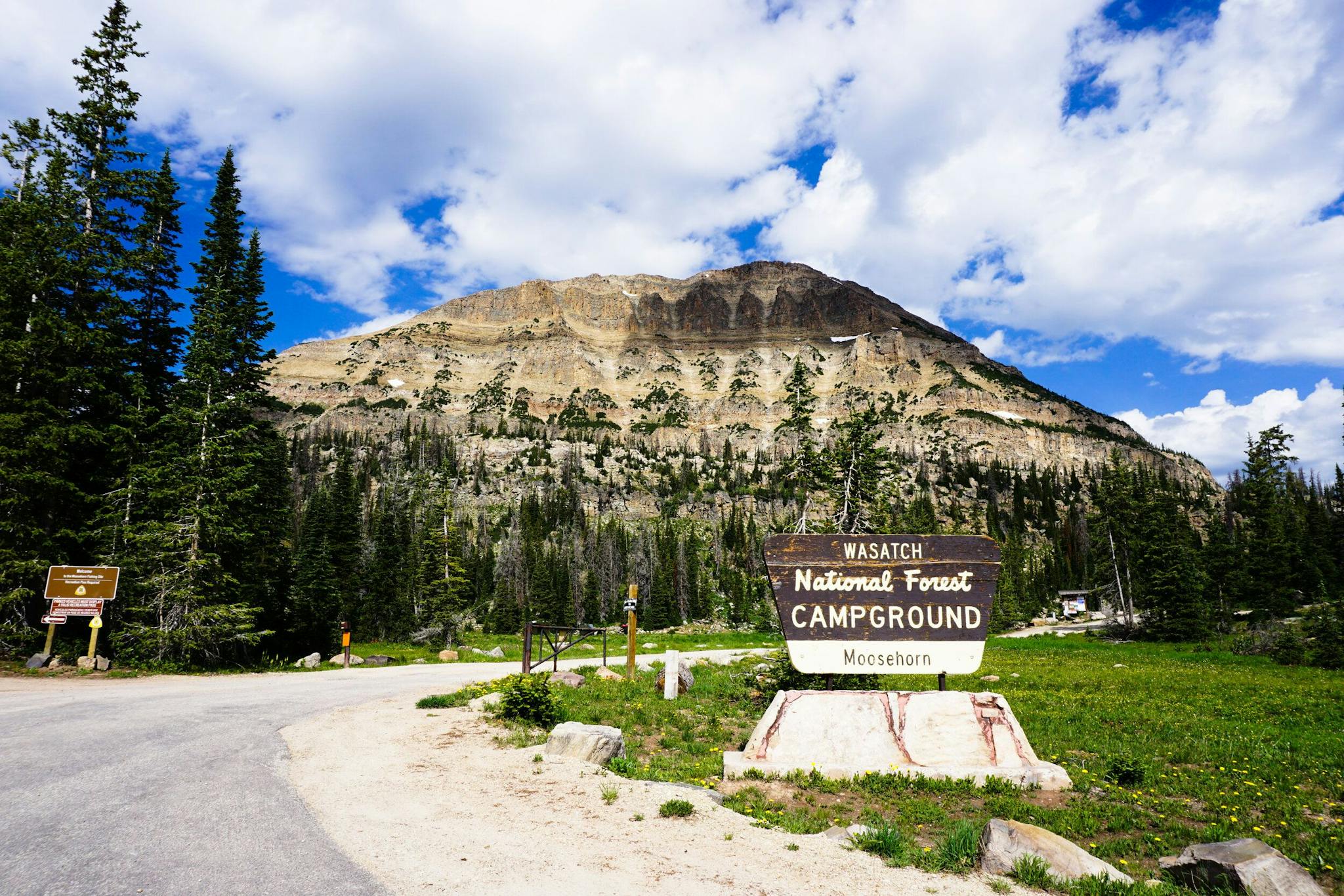 Wasatch National Forest, with blue skies, mountains, and pines on display